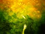 harriets-green, a painting that shifts and moves